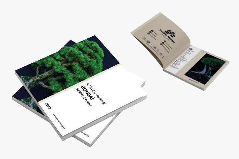 Katalog Tasarımı